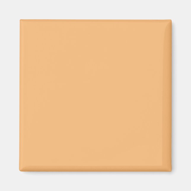 Hex Colour #FABA77, Brandy Magnet (Front)