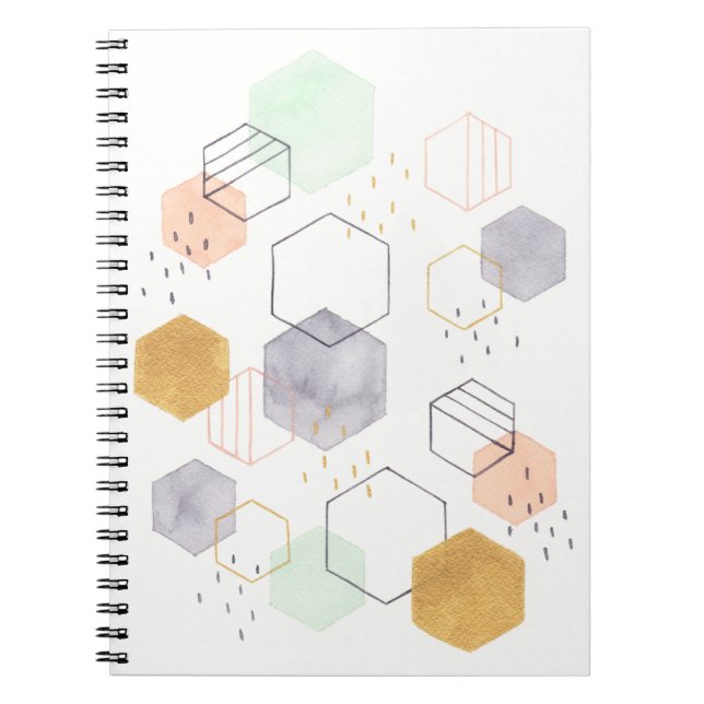 Hex Scatter Notebook (Front)