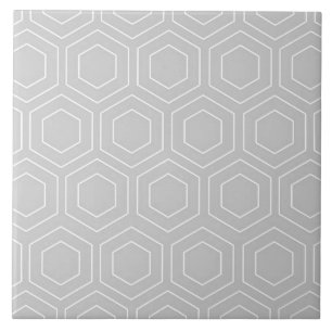 Hexagon Pattern Grey and White Modern Ceramic Tile