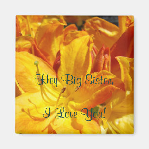 Hey Big Sister I Love You! magnet gifts Rhodies