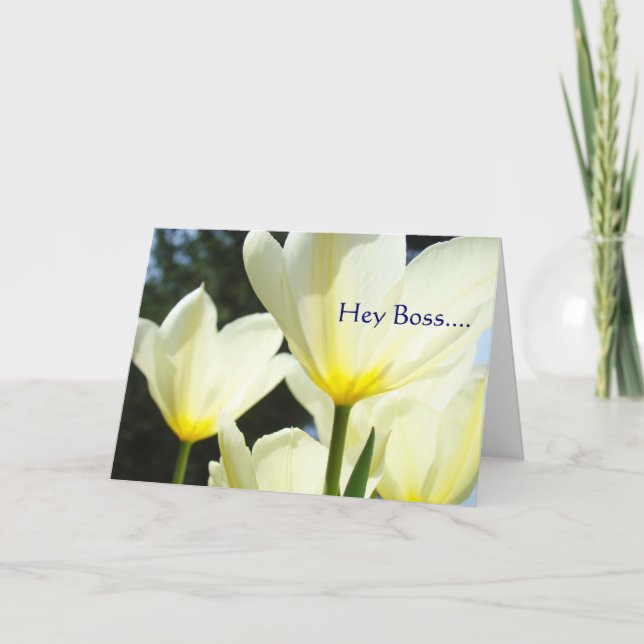 Hey Boss MERRY MERRY MERRY Christmas to You! Holiday Card (Front)