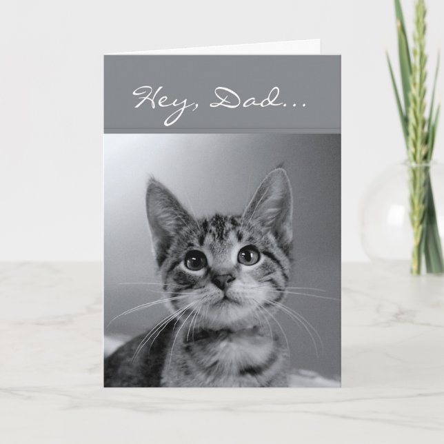 Hey, Dad, Have a Meow-velous Birthday! Card (Front)