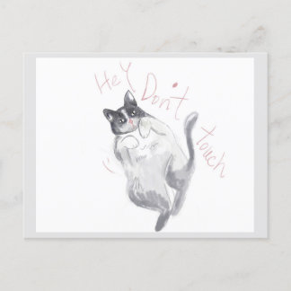 Hey! Don't Touch - cat Postcard