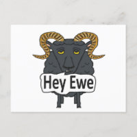 Hey Ewe Funny Sheep Pun