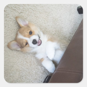 hey girl square sticker