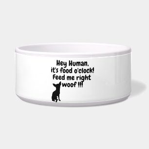 Hey, Hooman! Its food o'clock! Funny dog bowl