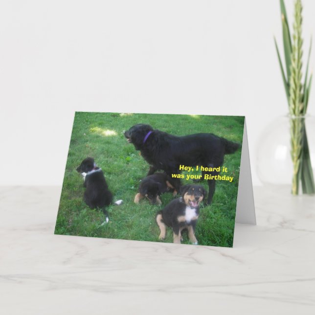 Hey, I heard it was your Birthday Card (Front)