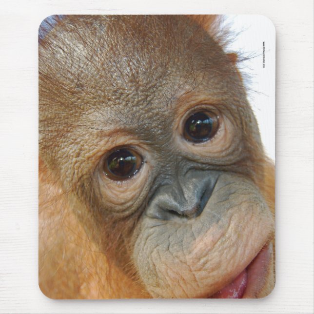 Hey, I'm a Cute Orangutan photo Mouse Mat (Front)