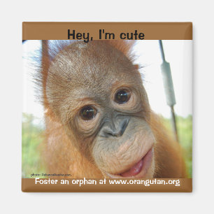 Hey, I'm a Cute Primate Magnet