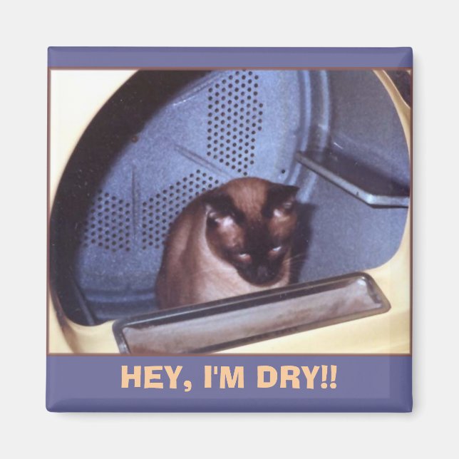HEY, I'M DRY!! MAGNET (Front)