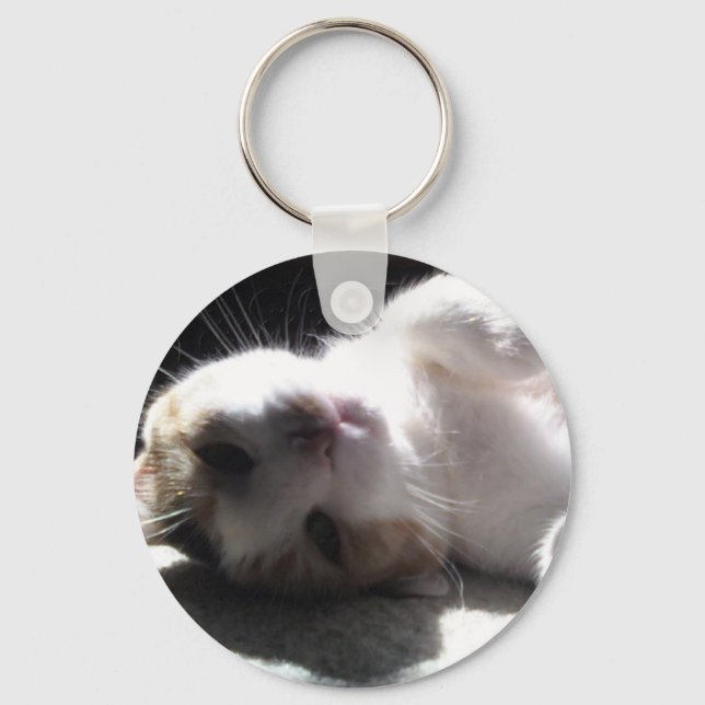 hey kitty kitty key chain! key ring (Front)