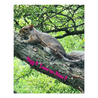 Hey! Leave me Alone! Annoyed Squirrel  Photo Print