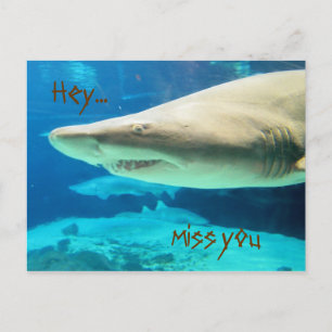 Hey...Miss you Postcard