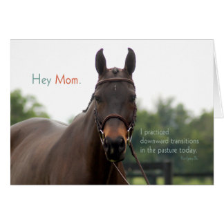 Hey Mum. (Prinz)