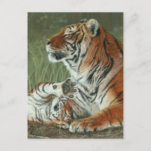 Hey Mum Wake Up! Tiger cub and mother postcard