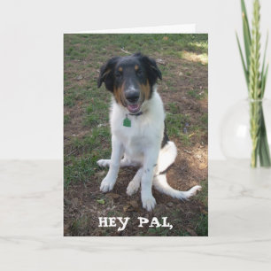 HEY PAL, Happy Birthday Card