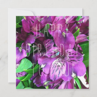 Hey pretty girl! Birthday Card