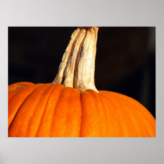 Hey Pumpkin Poster