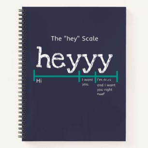 Hey Scale Heyyy Funny Notebook