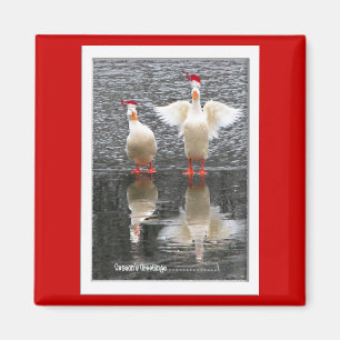 Hey, Season's Greetings! Magnet