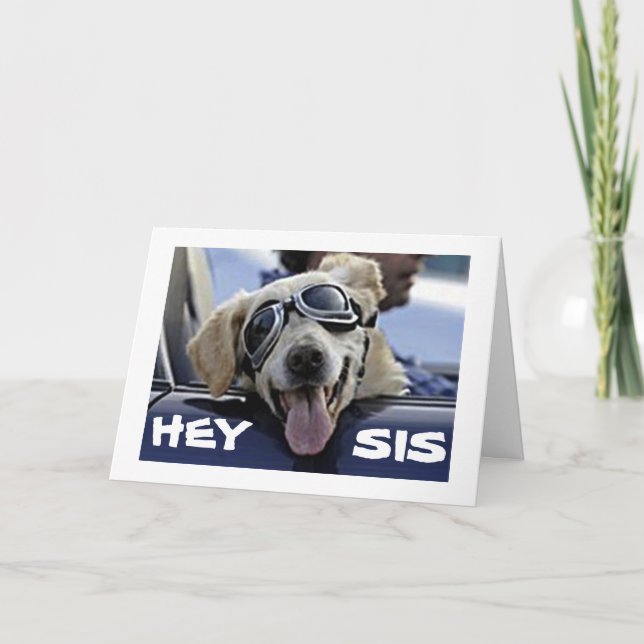 HEY ***SIS*** HAVE A COOL BIRTHDAY FROM COOL DOG CARD (Front)