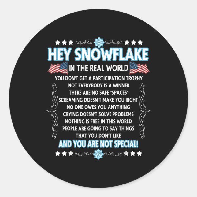 Hey Snowflake The Real World Funny Veteran Gift  Classic Round Sticker (Front)