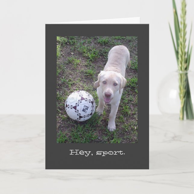 Hey, Sport. Yellow Lab Puppy Father's Day Card (Front)