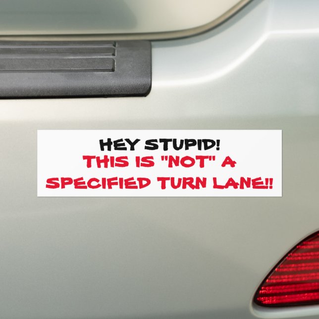 HEY STUPID BUMPER STICKER FOR HONKERS (On Car)