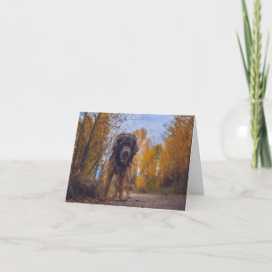 Hey There! Folded Note Card