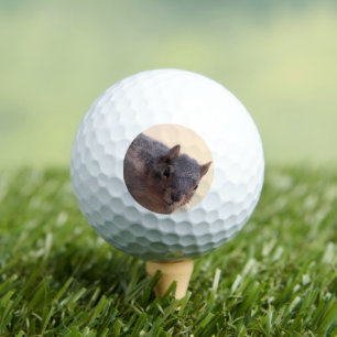 Hey there golf balls