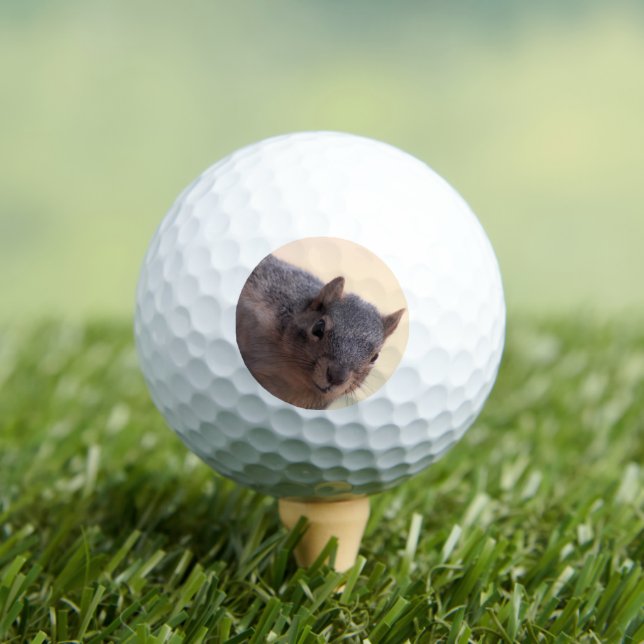 Hey there golf balls (Insitu Tee)