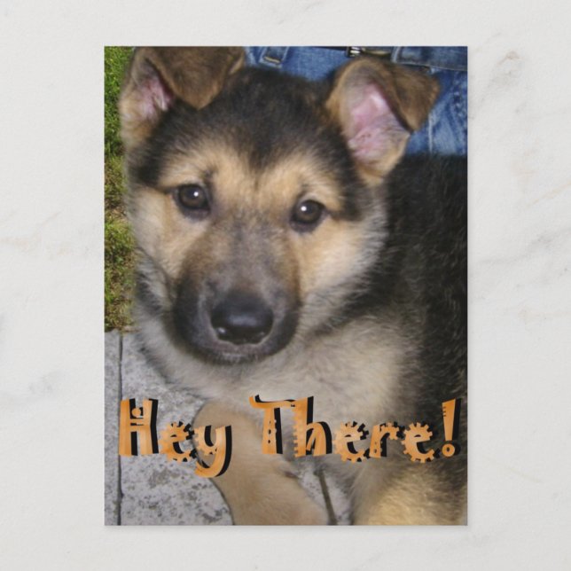 Hey There! Postcard (Front)