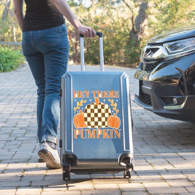 Hey There Pumpkin (Suitcase Insitu)