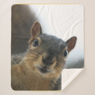 Hey there sherpa blanket