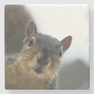 Hey there stone coaster