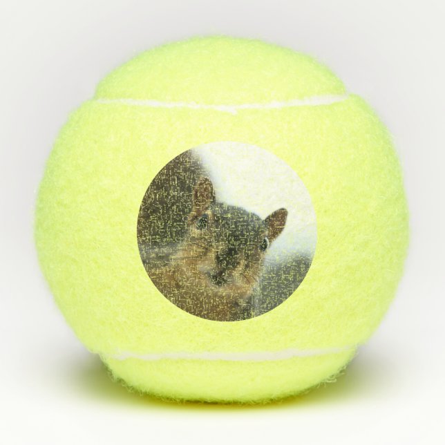 Hey there tennis balls (Front)