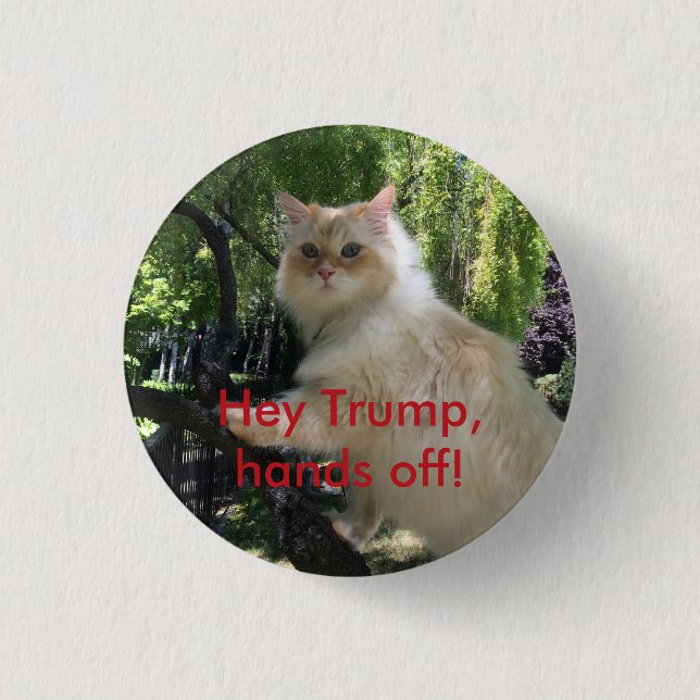 Hey Trump, hands off! 3 Cm Round Badge (Front)