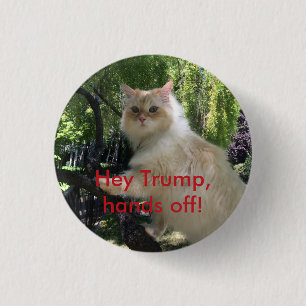 Hey Trump, hands off! 3 Cm Round Badge