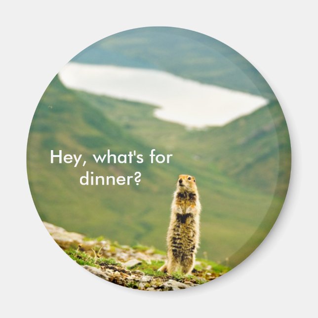 Hey, What's for Dinner? Magnet (Front)