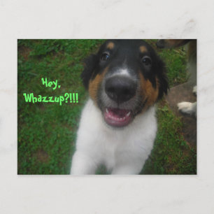 Hey, Whazzup?!!! Postcard