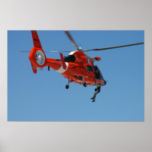 HH-65 Dolphin Poster