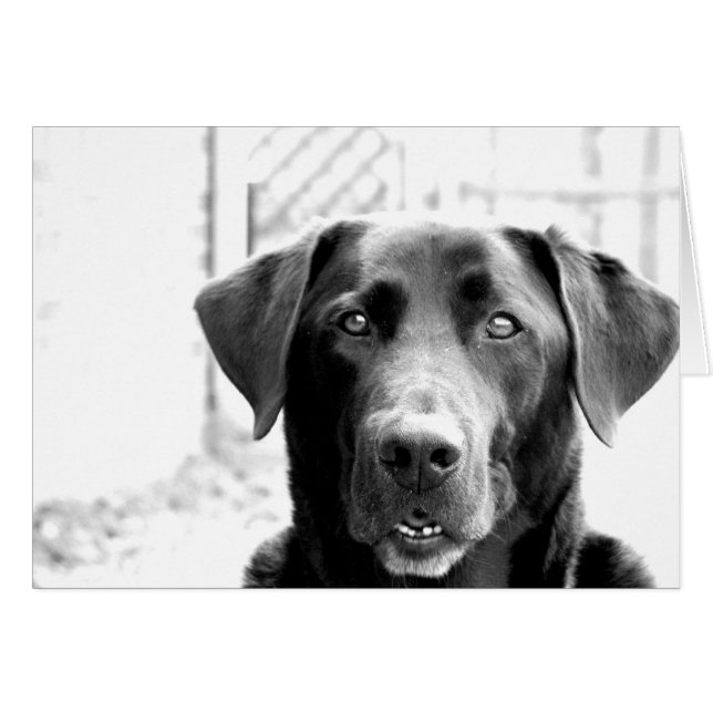 Hi (Front Horizontal)