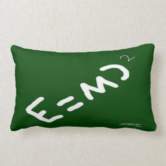 HI54EDU Physics Relativity RVC Lumbar Cushion