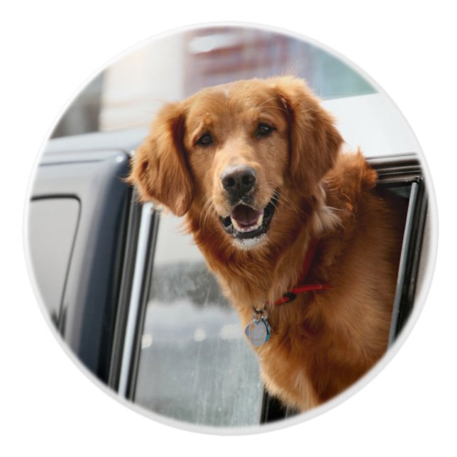 Hi Ceramic Knob (Front)