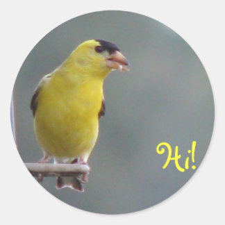 Hi! Classic Round Sticker