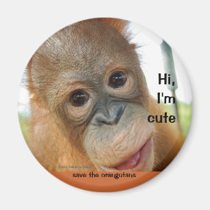Hi Cute Baby Orangutan Magnet