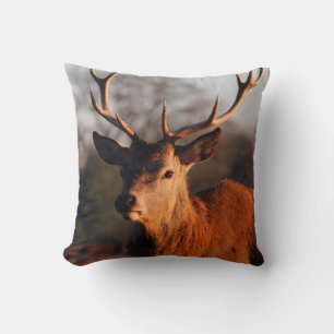 HI DEER CUSHION