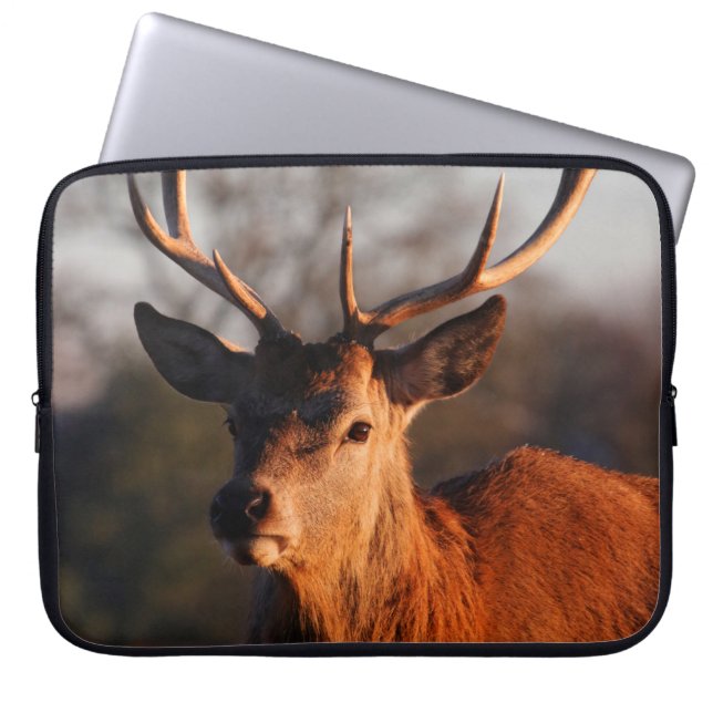 HI DEER LAPTOP SLEEVE (Front)