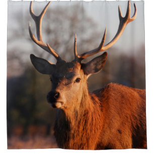 HI DEER SHOWER CURTAIN