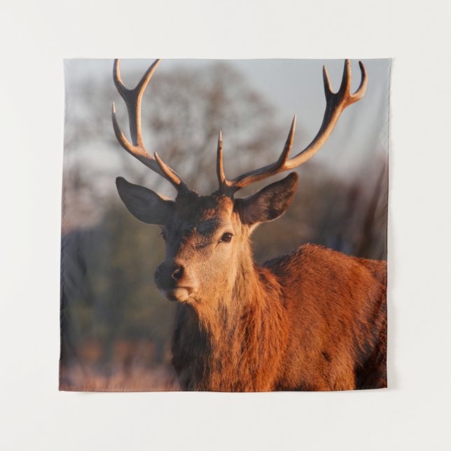 HI DEER TAPESTRY (Front)